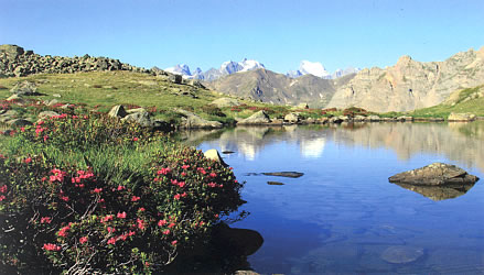 Le Lac du Serpent
